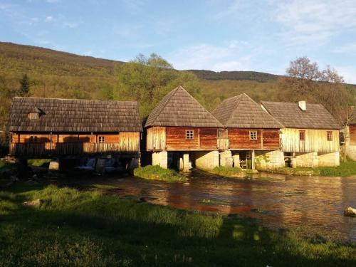 Hostal Guest House Domig