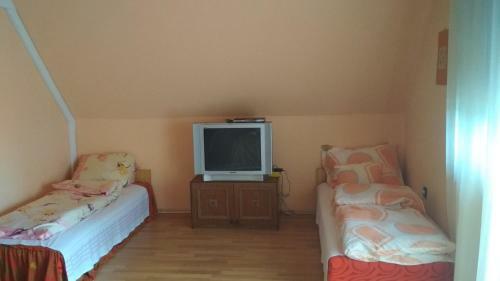 Retro Vend�gh�z