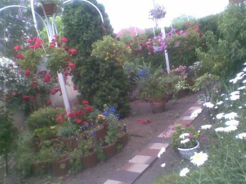 Apartamento Marg� Vend�gh�z