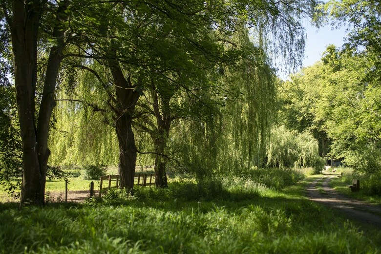Hotel Hyatt Regency Chantilly