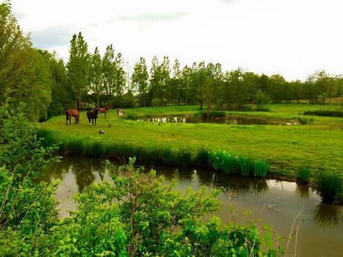 Bed & Breakfast Le Domaine De Charlyne