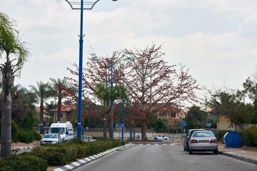 Hostal Like Home, Gedera-room-bnb
