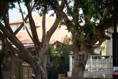 Hostal Like Home, Gedera-room-bnb