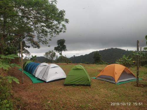 Paithal Base Camp