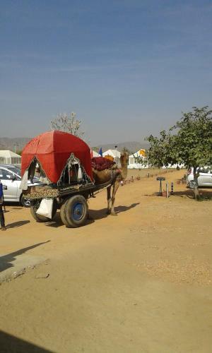 Pushkar Pride Camp & Resort