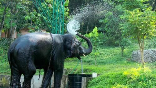 Villa Swasthi Griha