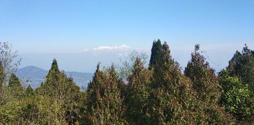 Posada Tibet Homestay