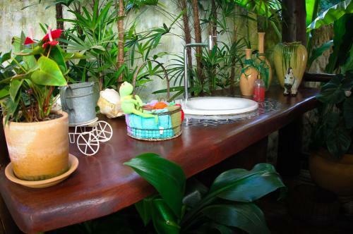 Hostal Pousada Burundanga