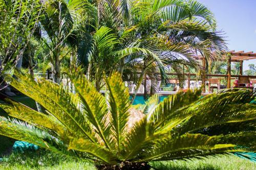 Hostal Pousada Arthemis