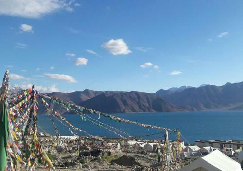Eco Travellers Camp