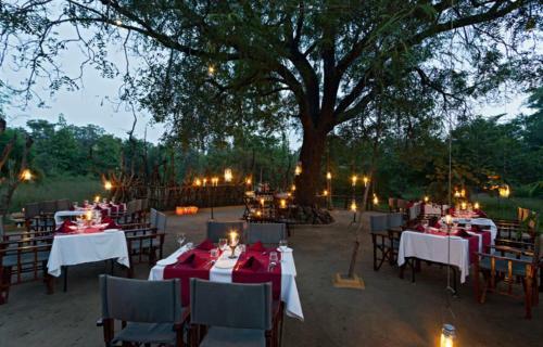 Reni Pani Jungle Lodge Satpura