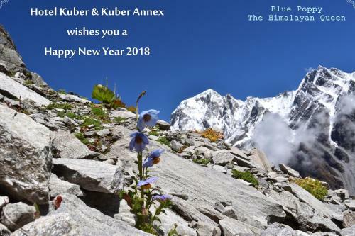 Hotel Kuber