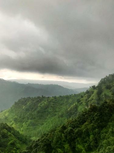 Tanhau