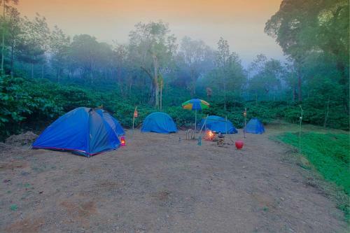 Hotel Evergreen County Coorg