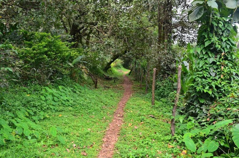 Hostal Mangaal Farmstay Goa