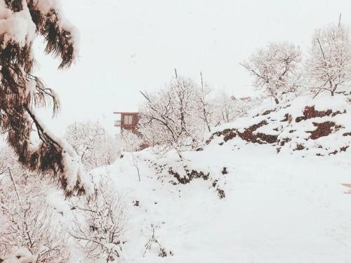 Bed & Breakfast Aaramgah