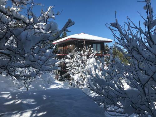 Bed & Breakfast Aaramgah