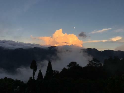 New Mountain Resort