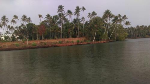 Ashtamudi Apartments