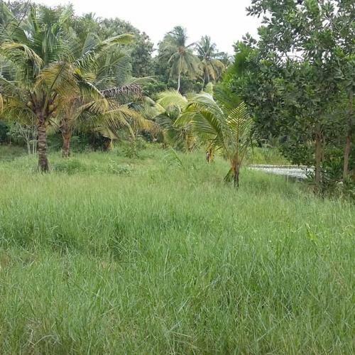 Ashtamudi Apartments