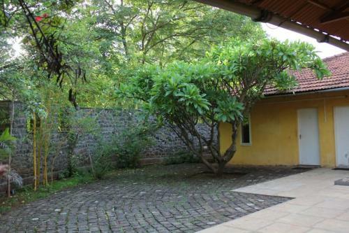 Studio Cottage Stay