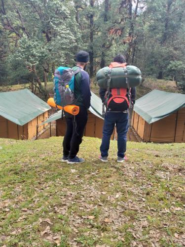 Flycatcher Jungle Camp