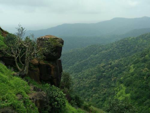 Amruta Homestays