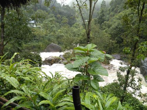 Smriti Homestay