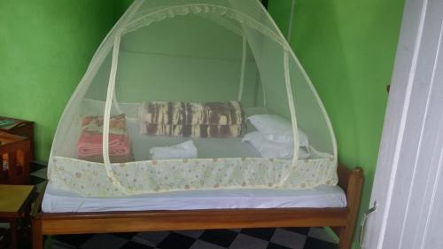 Vamoosetrail Ziro (1)