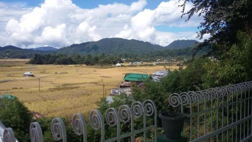 Vamoosetrail Ziro (1)