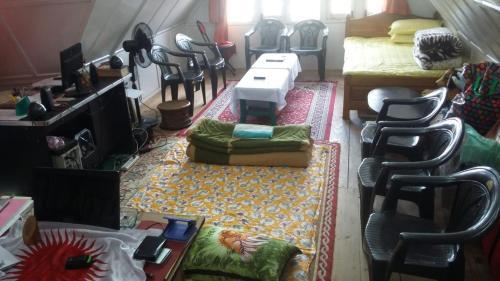 Vamoosetrail Ziro (1)