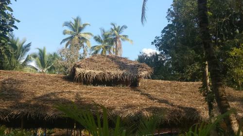 Hotel Kings Villa Resort