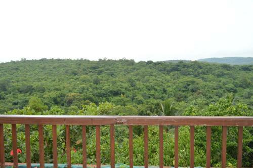 Hotel Sylvan Greens Resort