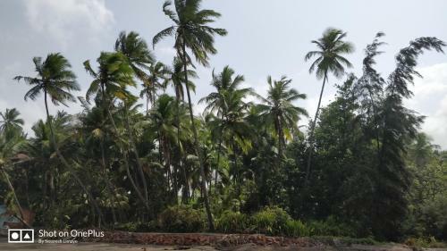 Shrikrupa Homestay