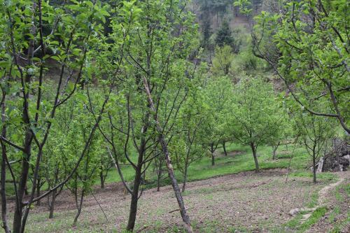 Albergue Thira Chanshal