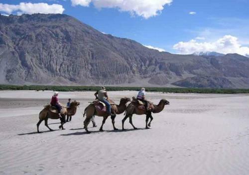 Hotel Stendel - Nubra