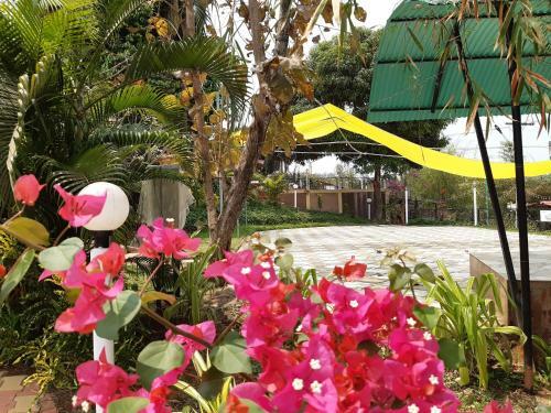 Hotel Cozywoods Hill Resort