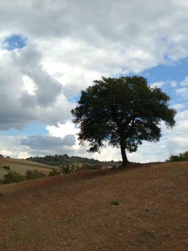 Agroturismo Poggio Moretto