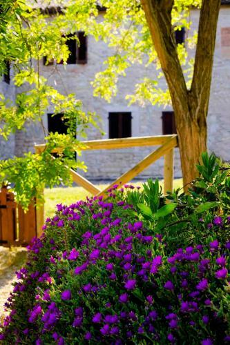 Agroturismo Castello Di Titignano