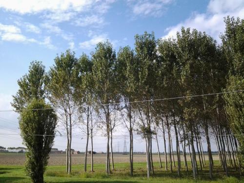 Agroturismo Agriturismo C� Vendramin