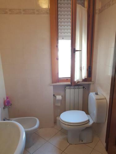 B&B Albero Cisanello