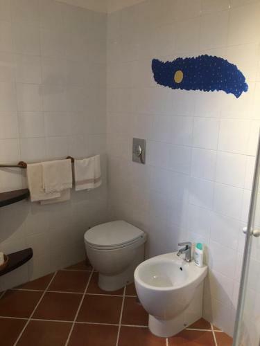 B&B Pacilita
