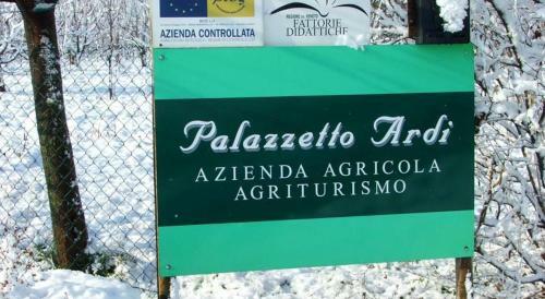 Bed & Breakfast Palazzetto Ardi