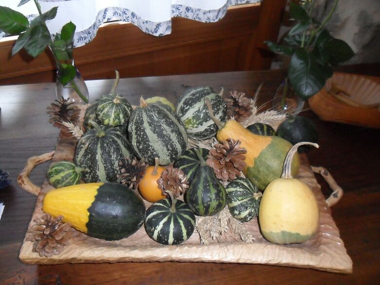Bed & Breakfast I Camuni