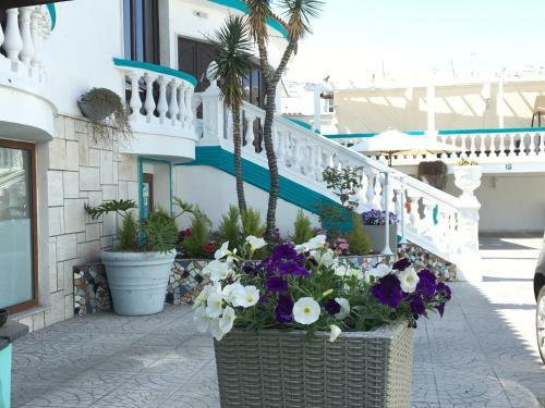 Hostal Residence R&b Tyrrhenum
