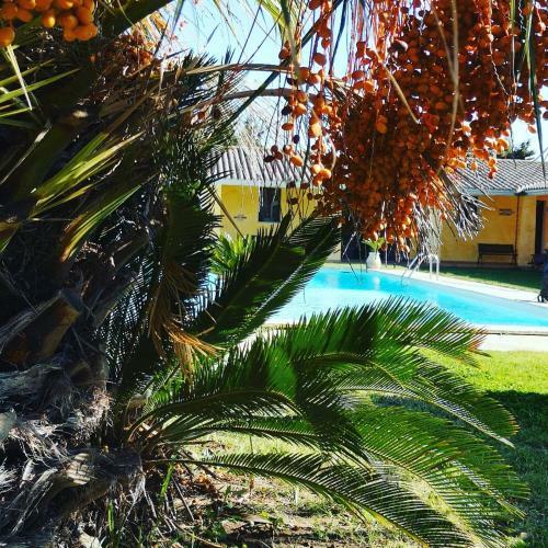 Agroturismo La Luce Del Sinis