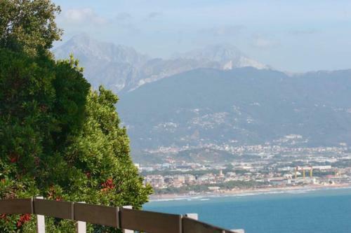 Zaneca Apartment Sleeps 6 Pool Wifi