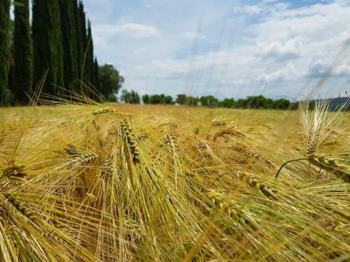 Agroturismo Borgo Tramonte