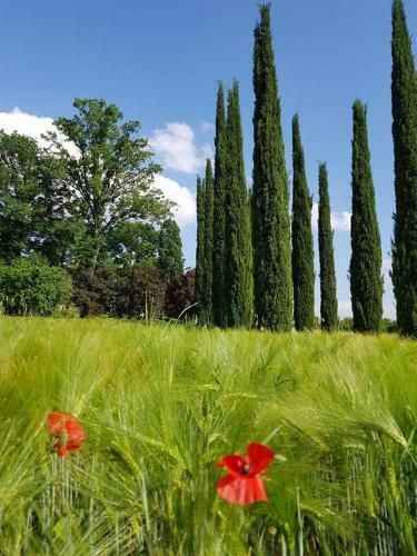 Agroturismo Borgo Tramonte