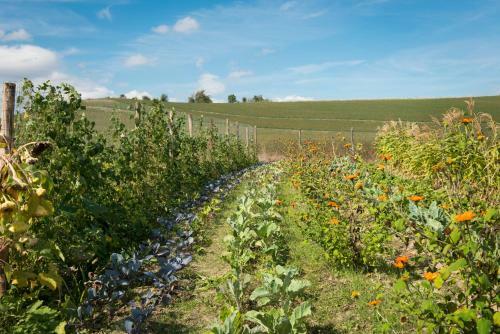 Agroturismo Borgo Pignano